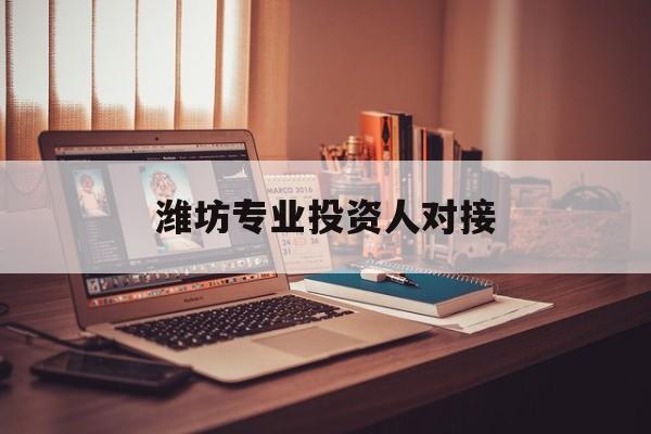 济南市潍坊专业投资人对接(潍坊专业投资人对接中心)