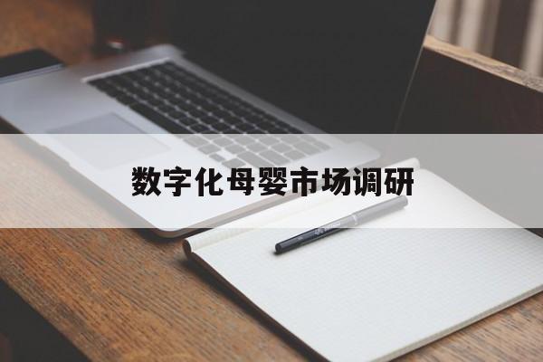 济南市数字化母婴市场调研(数字化母婴市场调研报告)