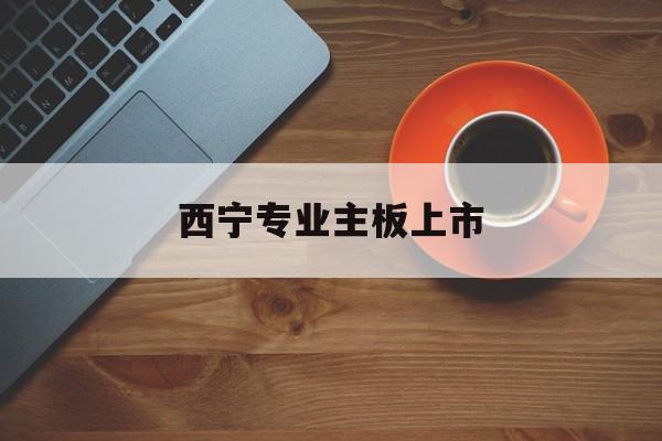 济南市西宁专业主板上市(西宁有什么上市公司)