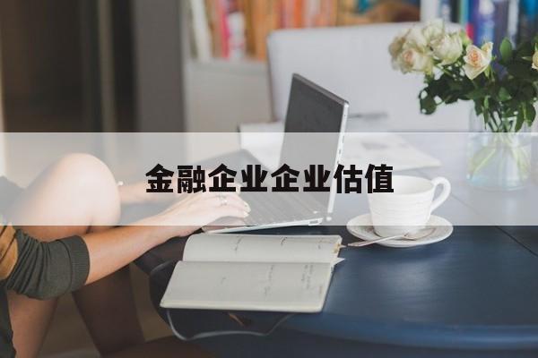 济南市金融企业企业估值(最新企业估值怎么填)
